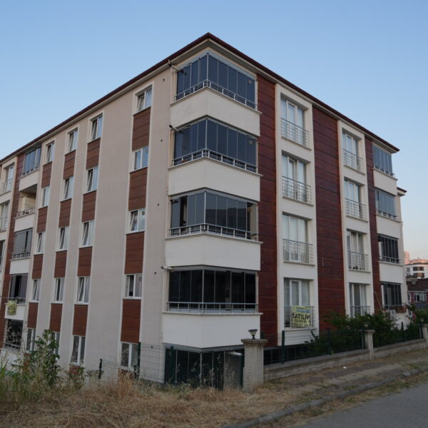 DSC05526 600x600