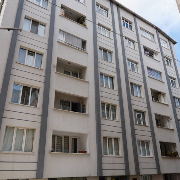 DSC05603 600x600