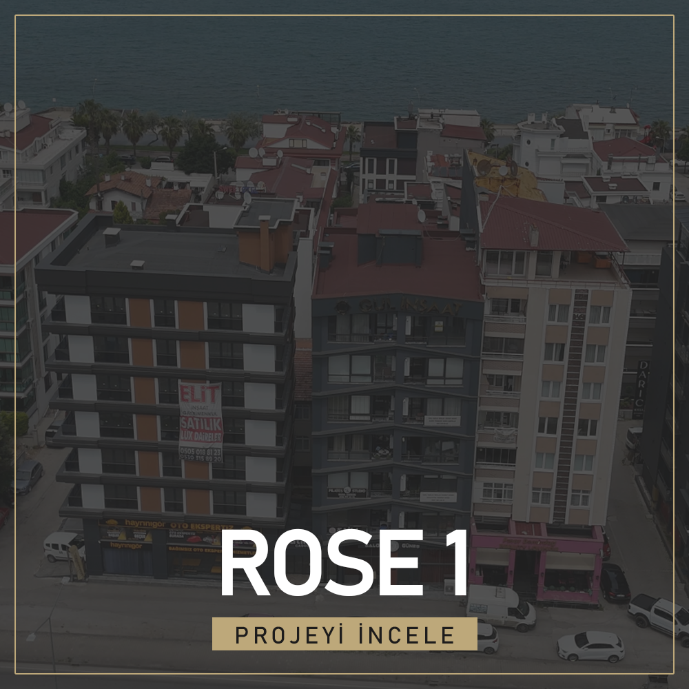 31 ROSE 1