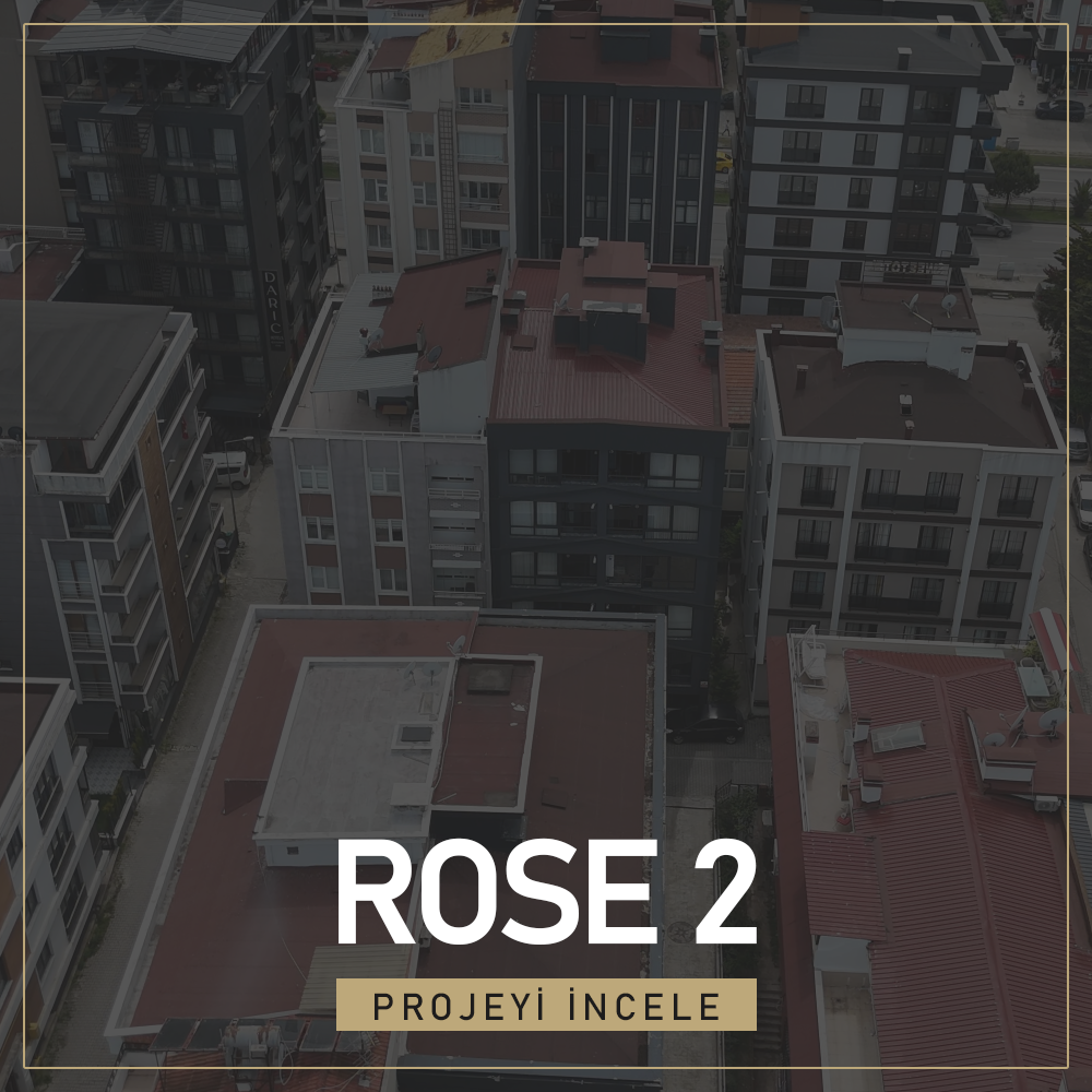 32 ROSE 2