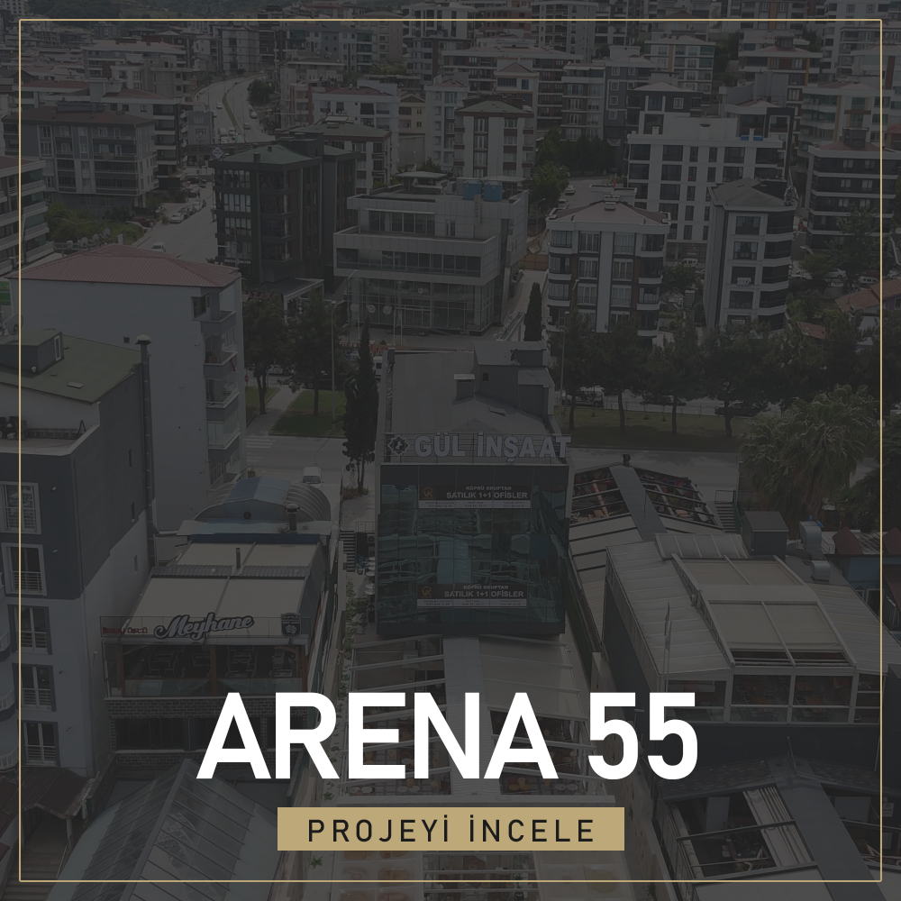 33 ARENA 55