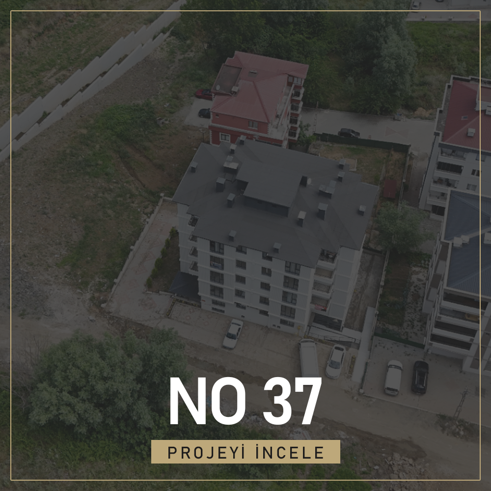 56 NO 37